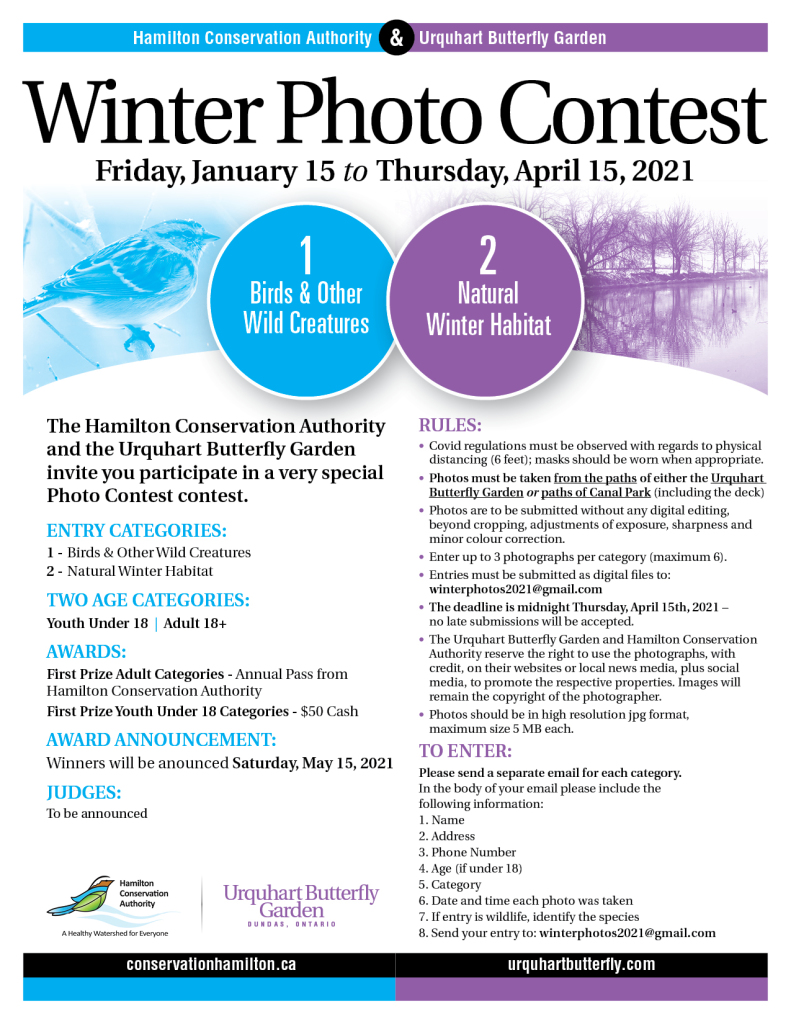 6B-HCA&UBG Winter Photo Contest 2021_150_1 (1)